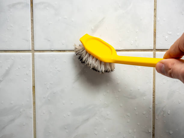 Best Insurance-Related Mold Remediation in Sandusky, MI