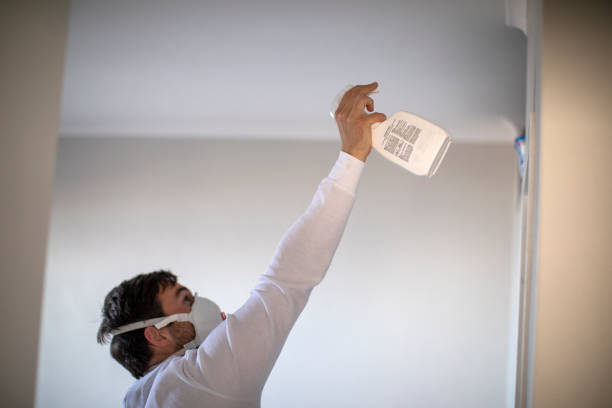 Best Localized Mold Remediation (e.g., coastal areas, humid climates) in Sandusky, MI