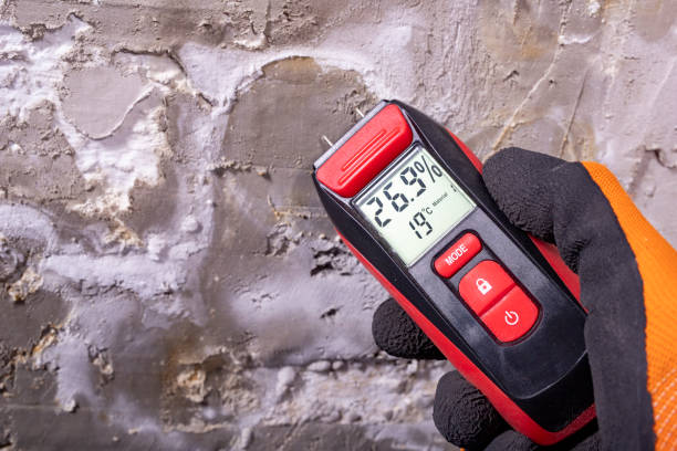Best Residential Mold Remediation in Sandusky, MI