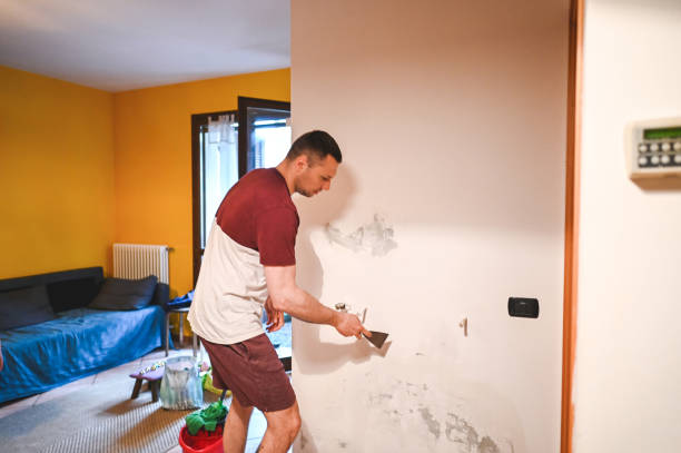 Sandusky, MI Mold Remediation Company
